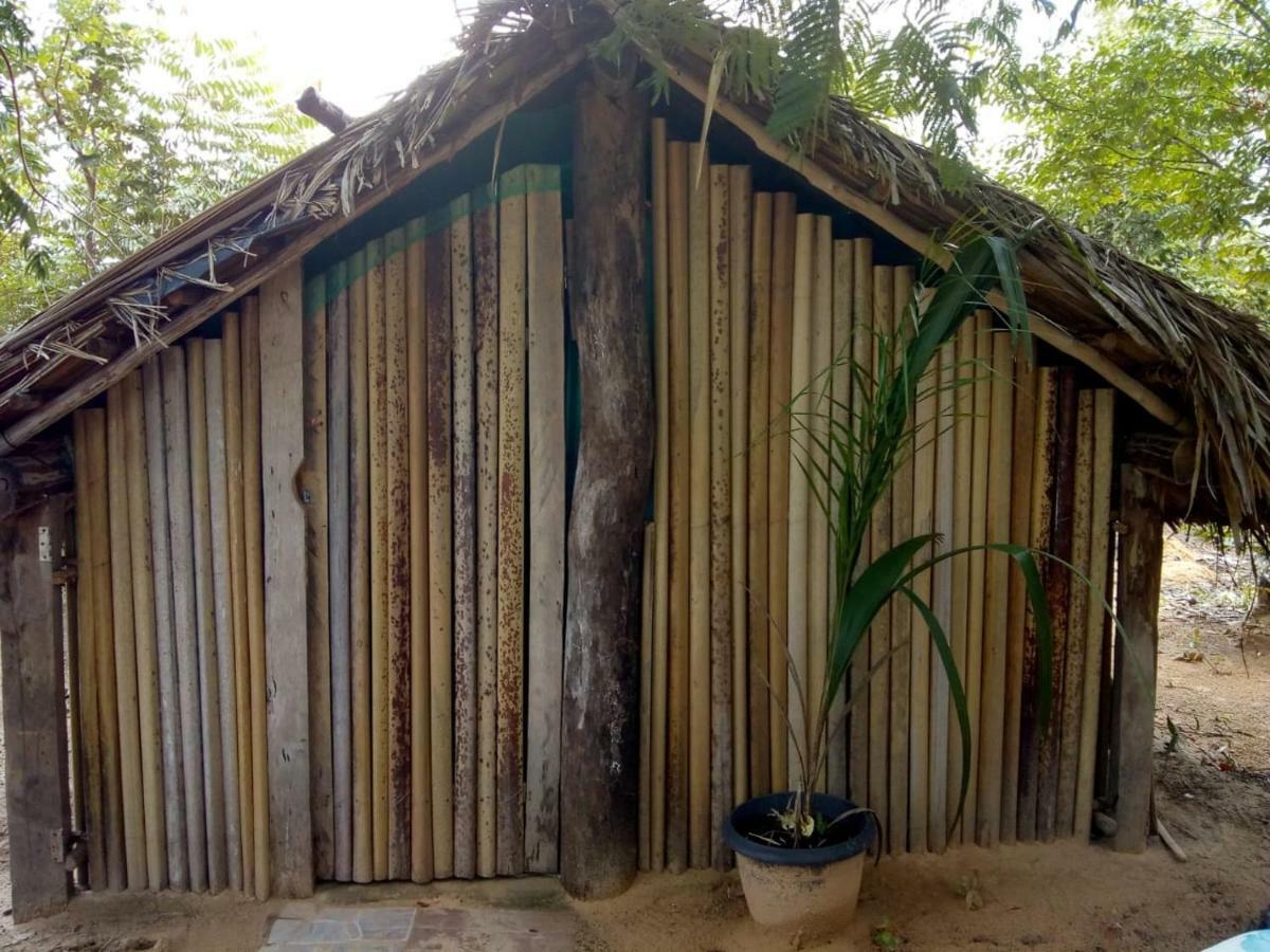 Refugio Raiz Camping Carolina  Exterior foto