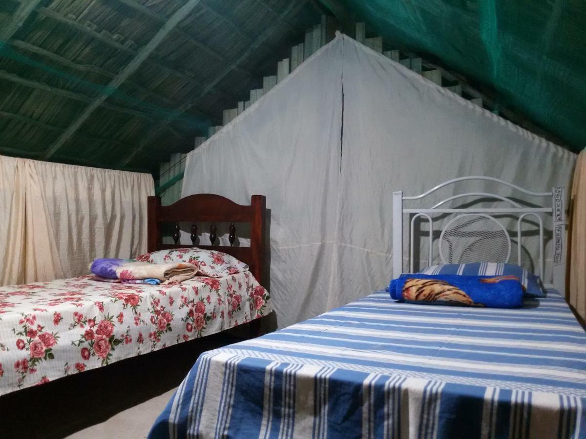 Refugio Raiz Camping Carolina  Exterior foto